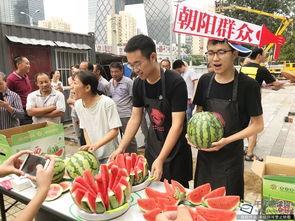 朝阳吃瓜群众网官网,带你走进网络舆论的焦点之地