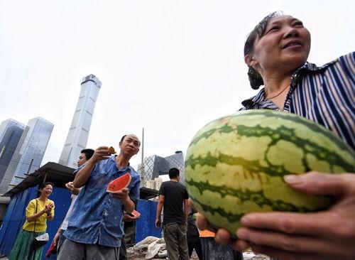 朝阳吃瓜群众网官网,带你走进网络舆论的焦点之地