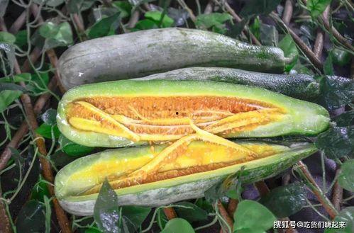 丰县网红吃瓜事件,揭秘背后真相与网络舆论风暴
